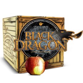 Gwynt Y Ddraig Black Dragon - 7.2% 20 Litre Bag in Box