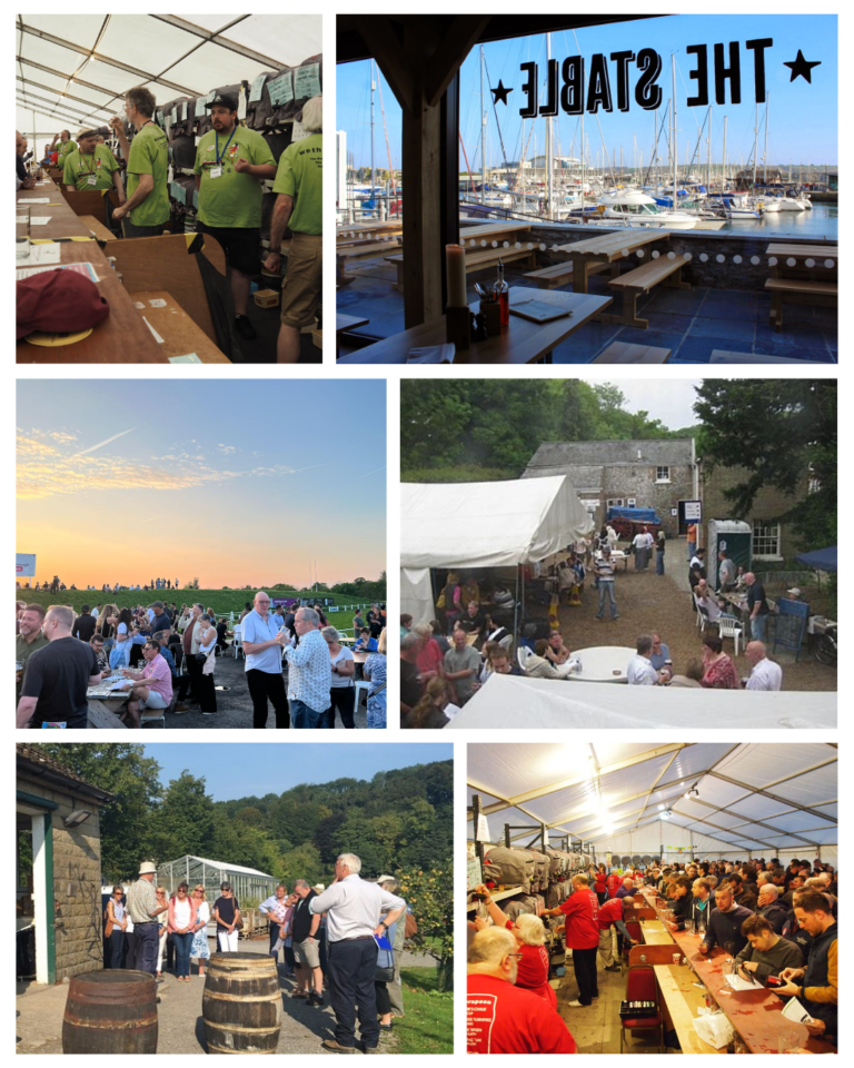 Our Biggest Week Yet: Festivals, Cider, and a Return to the Orchard