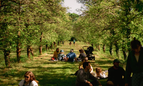 Fetch The Drinks — orchard visit