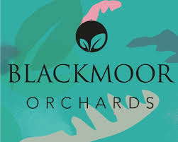 Blackmoor Orchards logo