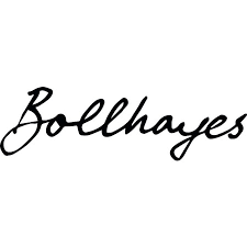 Bollhayes logo